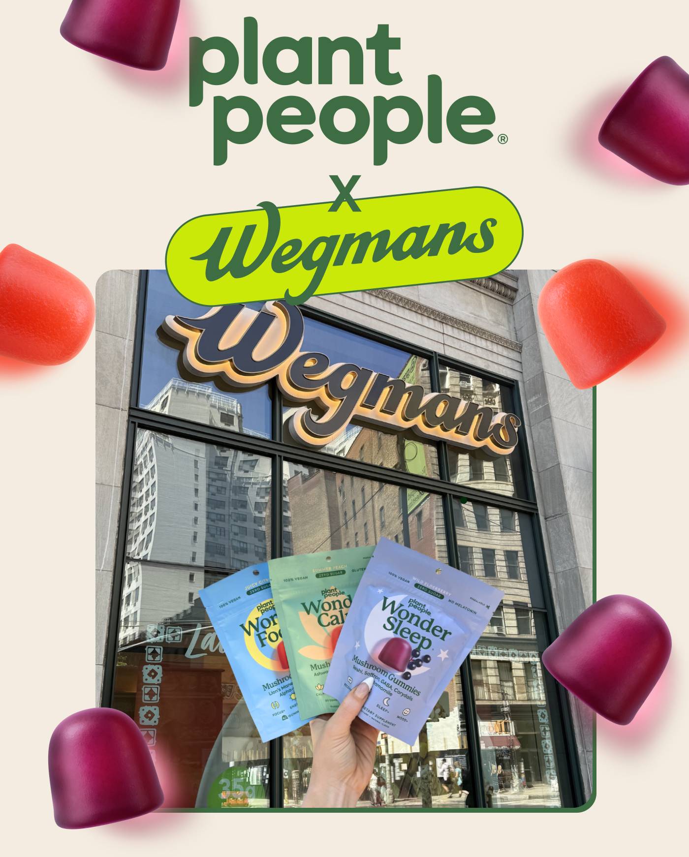 Wonder x Wegmans