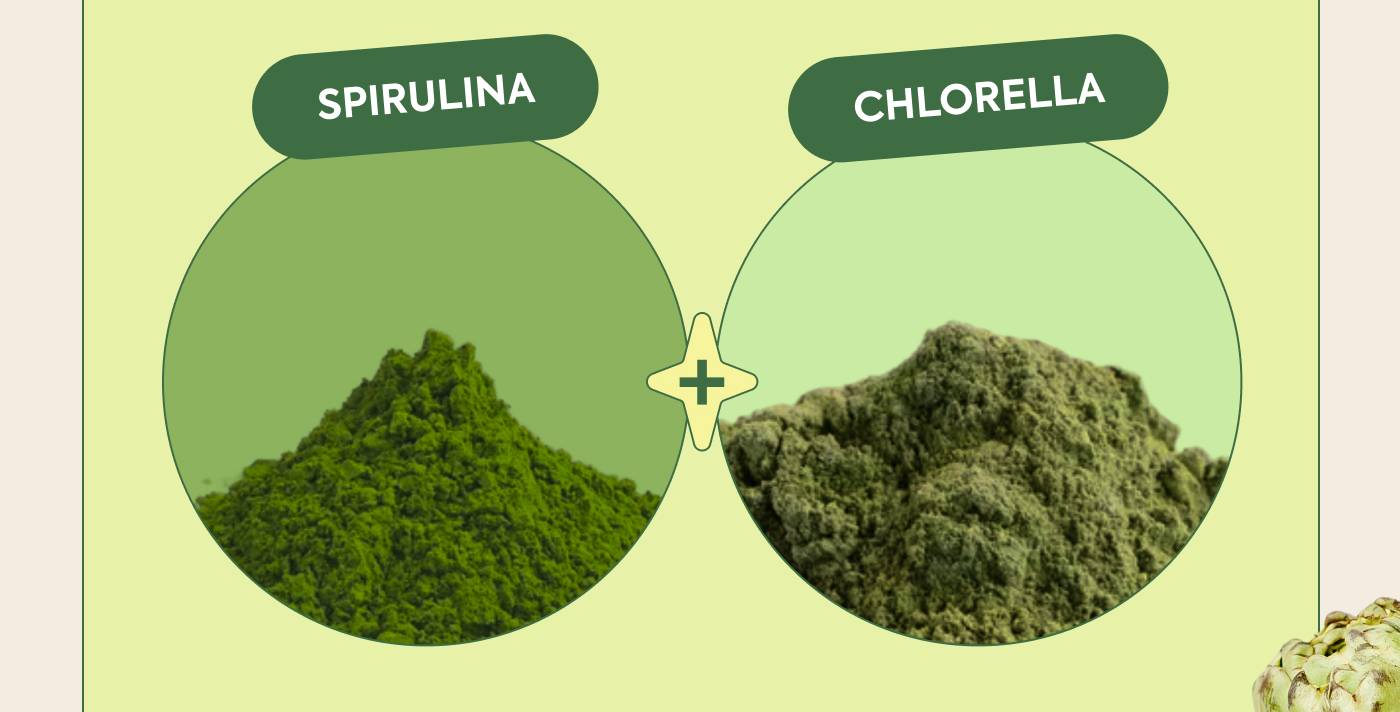 SPIRULINA + CHLORELLA