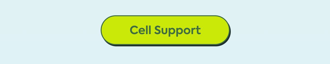 Cell Support Cell Support