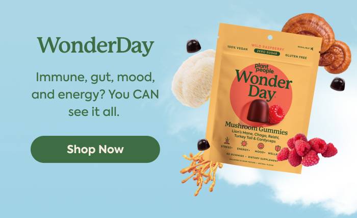 WonderDay