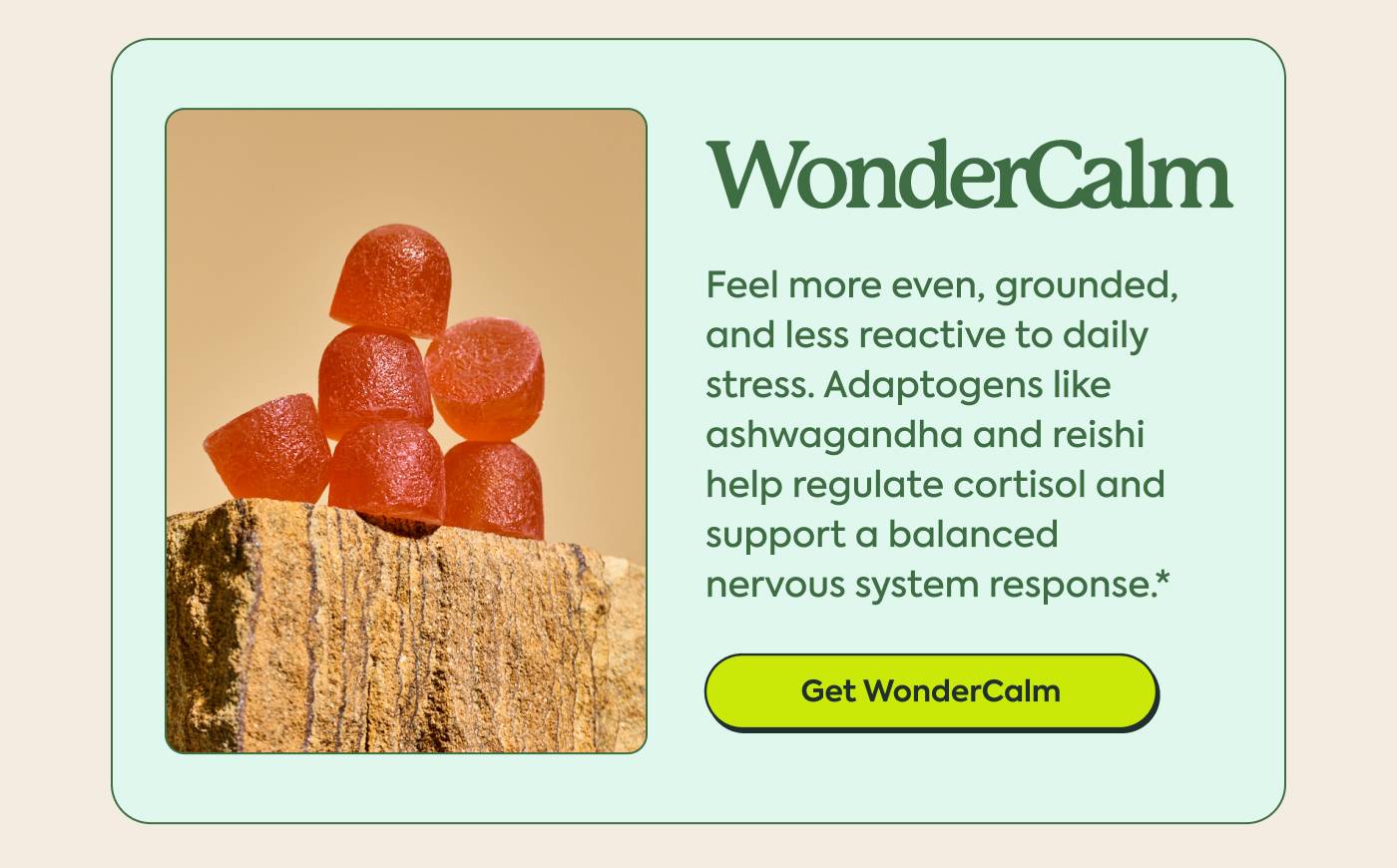 WonderCalm Feel more even, grounded, and less reactive to daily stress. Adaptogens like ashwagandha and reishi help regulate cortisol and support a balanced nervous system response.* GET WONDERCALM