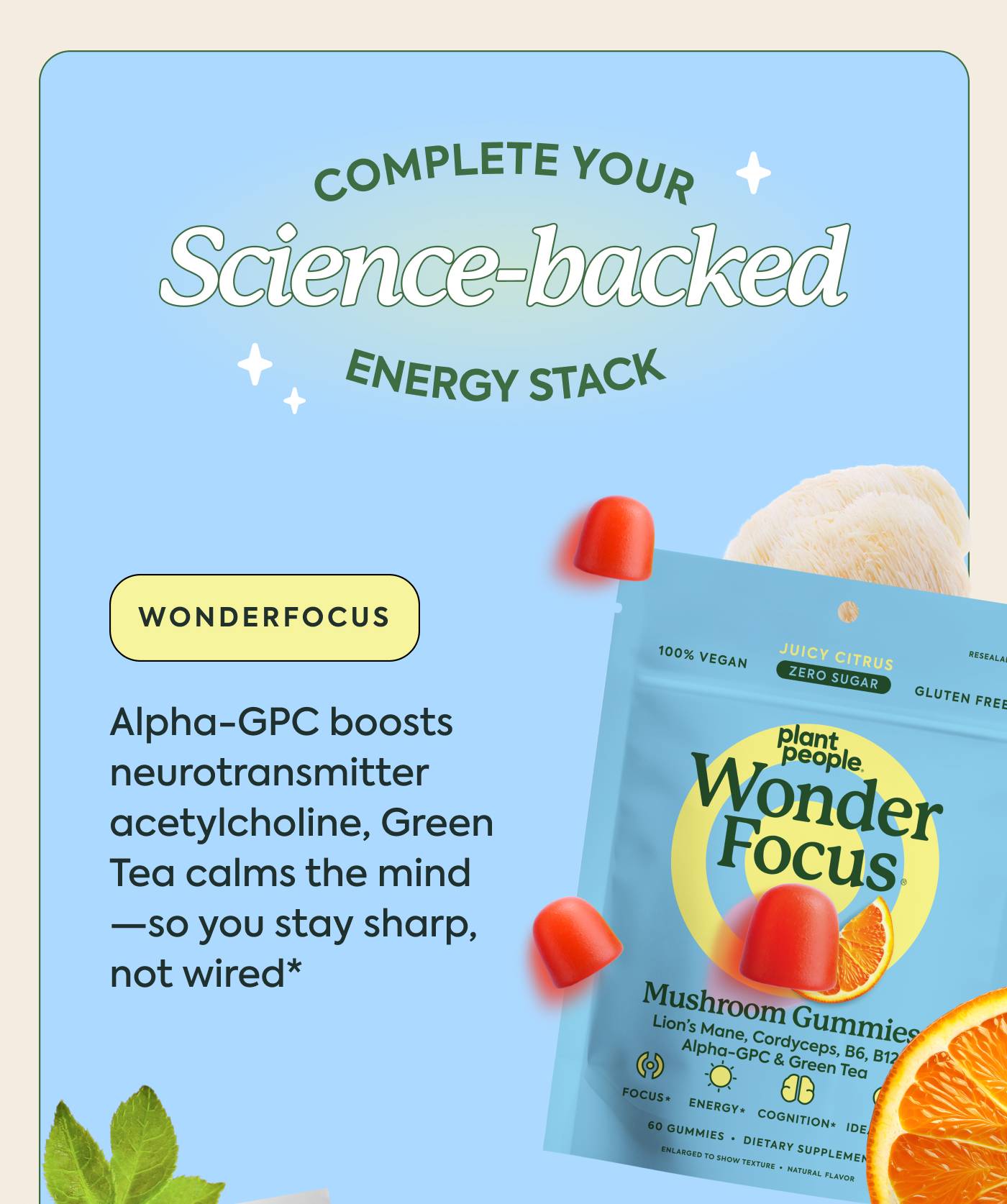 WonderFocus: Alpha-GPC boosts neurotransmitter acetylcholine, Greet Tea calms the mind—so you stay sharp, not wired* WonderFocus: Alpha-GPC boosts neurotransmitter acetylcholine, Greet Tea calms the mind—so you stay sharp, not wired*