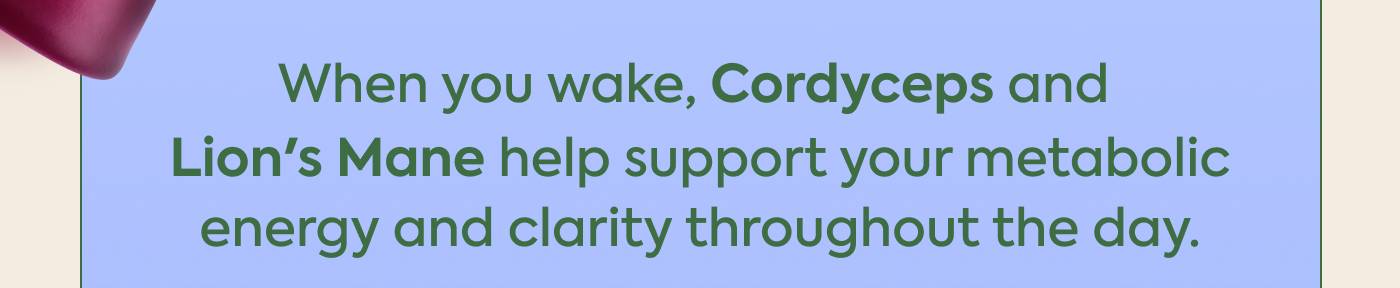 When you wake, Cordyceps and Lion's Mane help support your metabolic energy and clarity throughout the day.