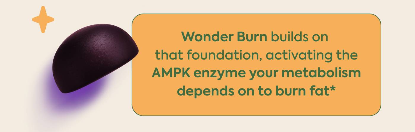 Wonder Burn builds on that foundation, activating the AMPK enzyme your metabolism depends on to burn fat*