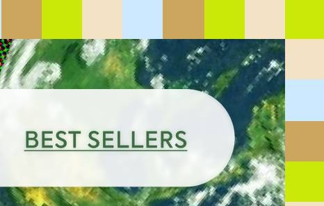 BEST SELLERS