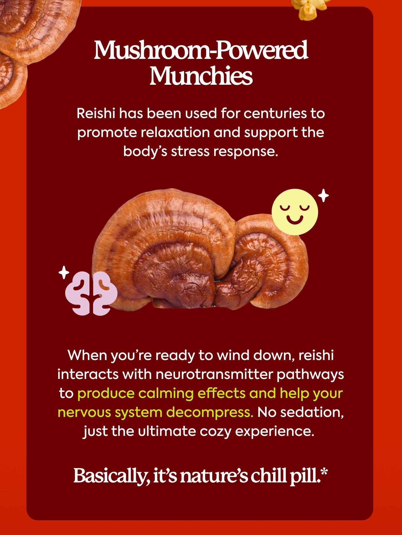 Mushroom-Powered Munchies