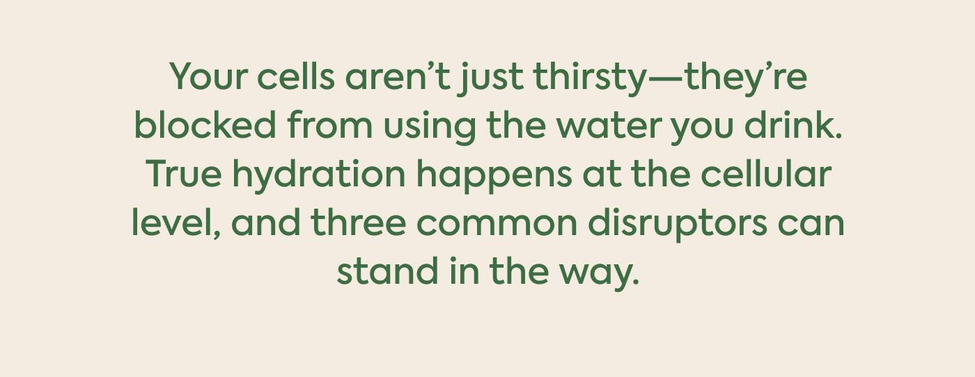 Your cells aren’t just thirsty—they’re blocked from using the water you drink. True hydration happens at the cellular level, and three common disruptors can stand in the way. Your cells aren’t just thirsty—they’re blocked from using the water you drink. True hydration happens at the cellular level, and three common disruptors can stand in the way.