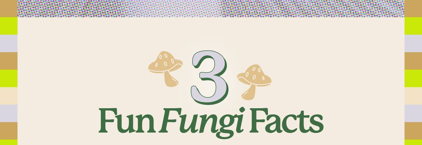 3 Fun Fungi Facts 3 Fun Fungi Facts