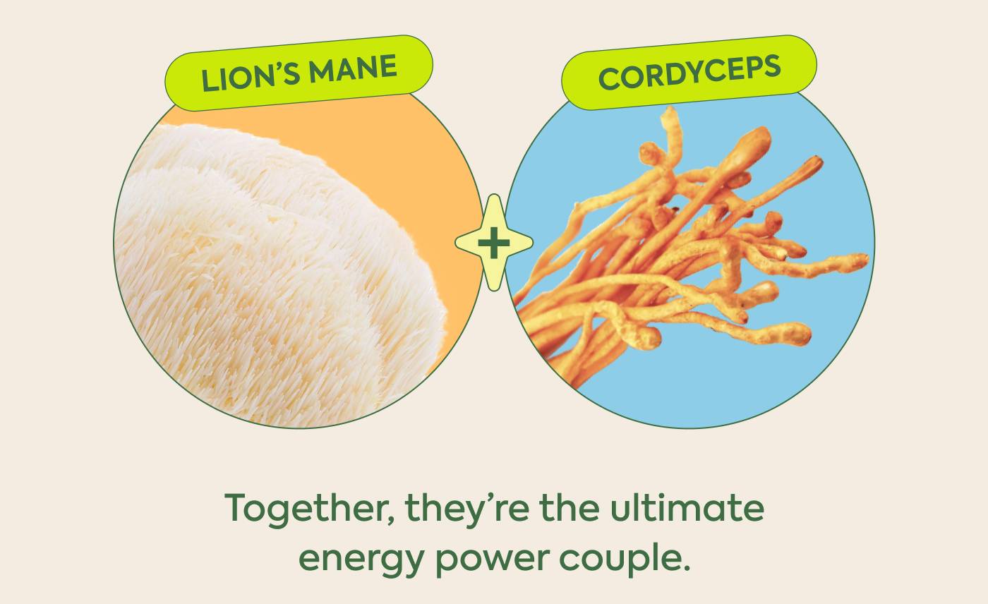 LION'S MANE + CORDYCEPS | Together, they’re the ultimate energy power couple.