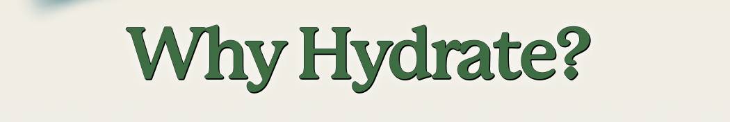 Why Hydrate? 
