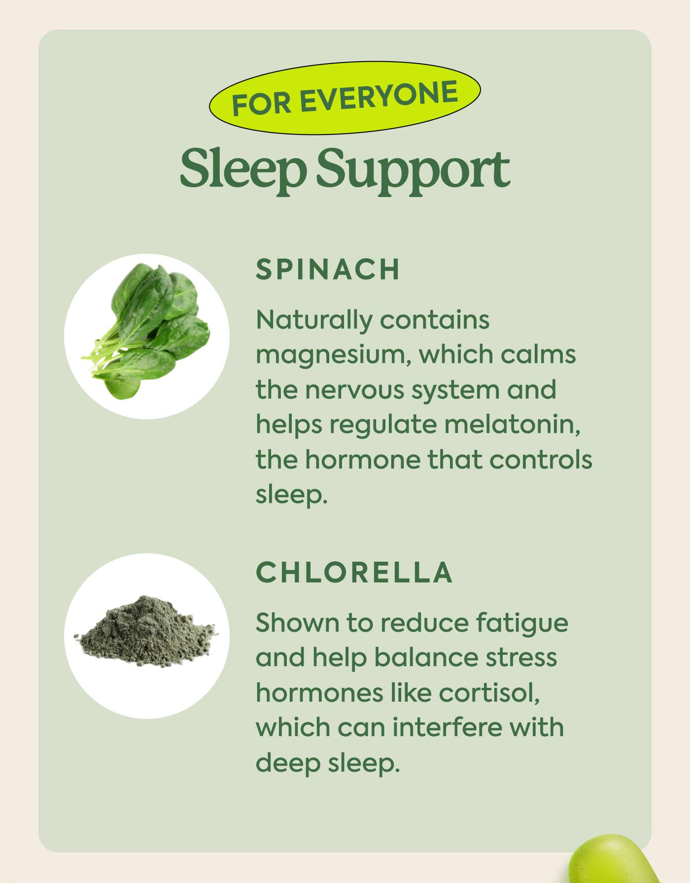 SLEEP SUPPORT