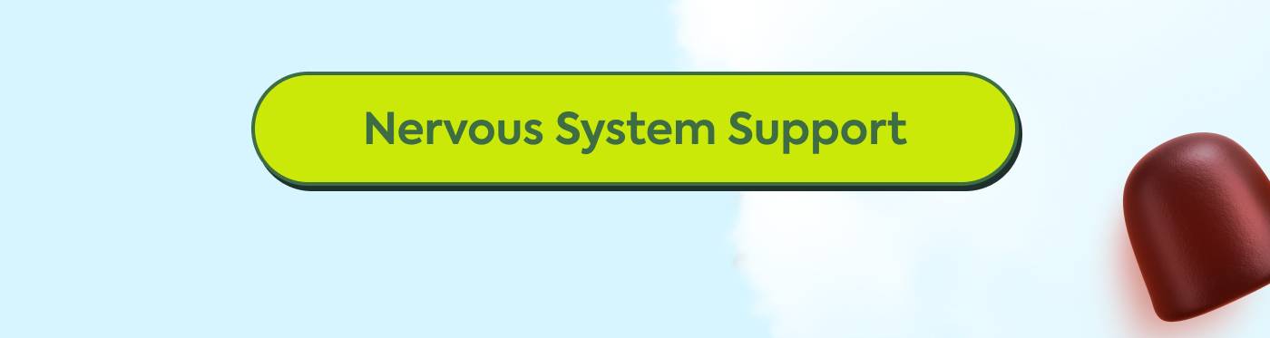 Nervous System Support Nervous System Support