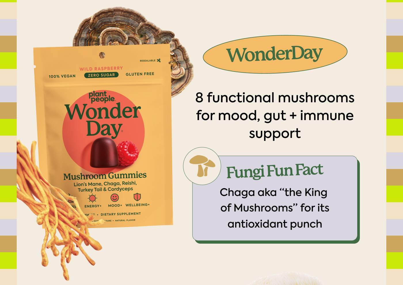 WonderDay: 8 functional mushrooms for mood, gut + immune support Fun Fungi Fact: Chaga aka “the King of Mushrooms” for its antioxidant punch WonderDay: 8 functional mushrooms for mood, gut + immune support Fun Fungi Fact: Chaga aka “the King of Mushrooms” for its antioxidant punch