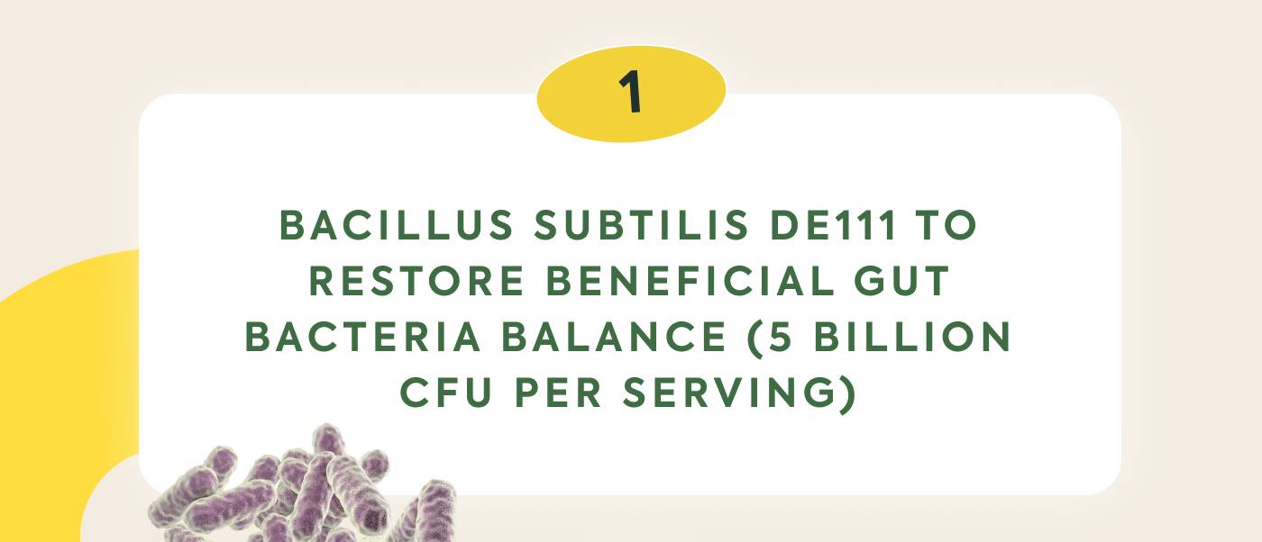 Bacillus Subtilis DE111 to restore beneficial gut bacteria balance (5 billion CFU per serving)