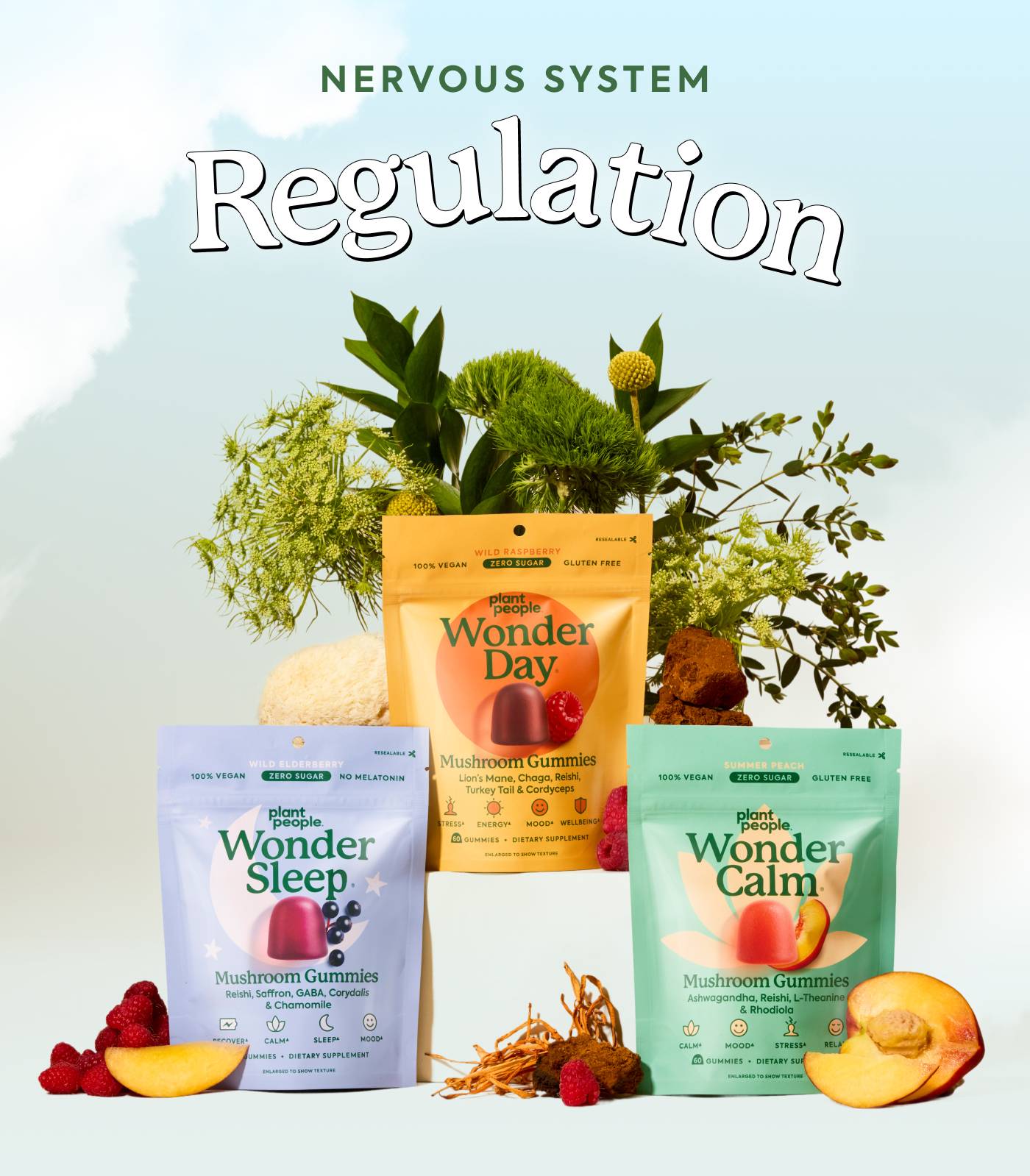 Nervous System Regulation Nervous System Regulation