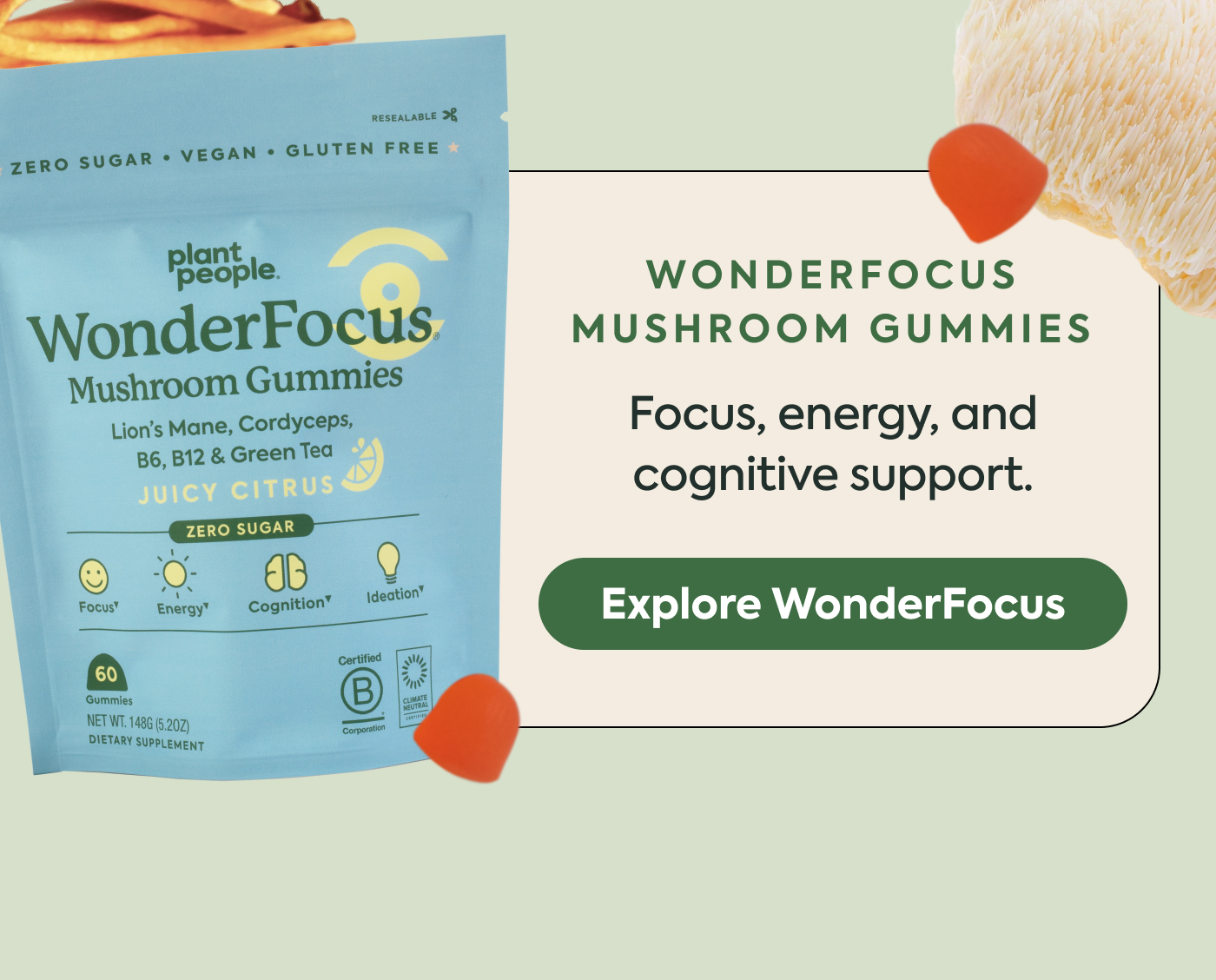 Explore WonderFocus