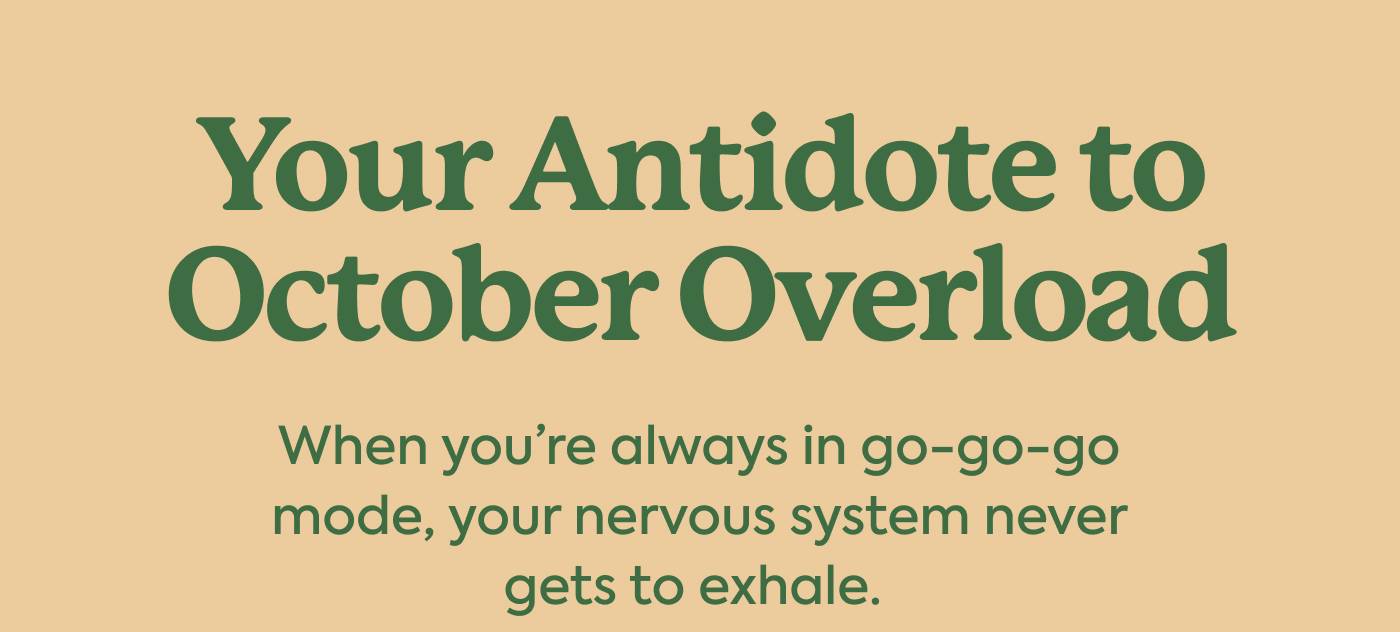 Your Antidote to October Overload Your Antidote to October Overload