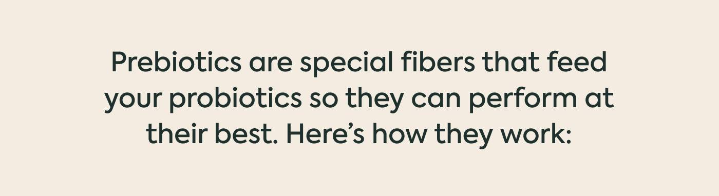 Prebiotics are special fibers that feed your probiotics so they can perform at their best. Here’s how they work: Prebiotics are special fibers that feed your probiotics so they can perform at their best. Here’s how they work: