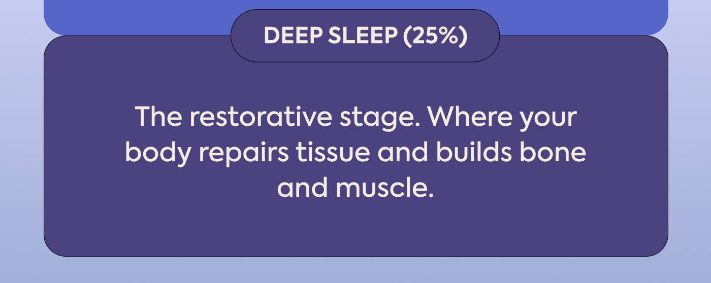 Deep Sleep (25%): The restorative stage. Where your body repairs tissue and builds bone and muscle.