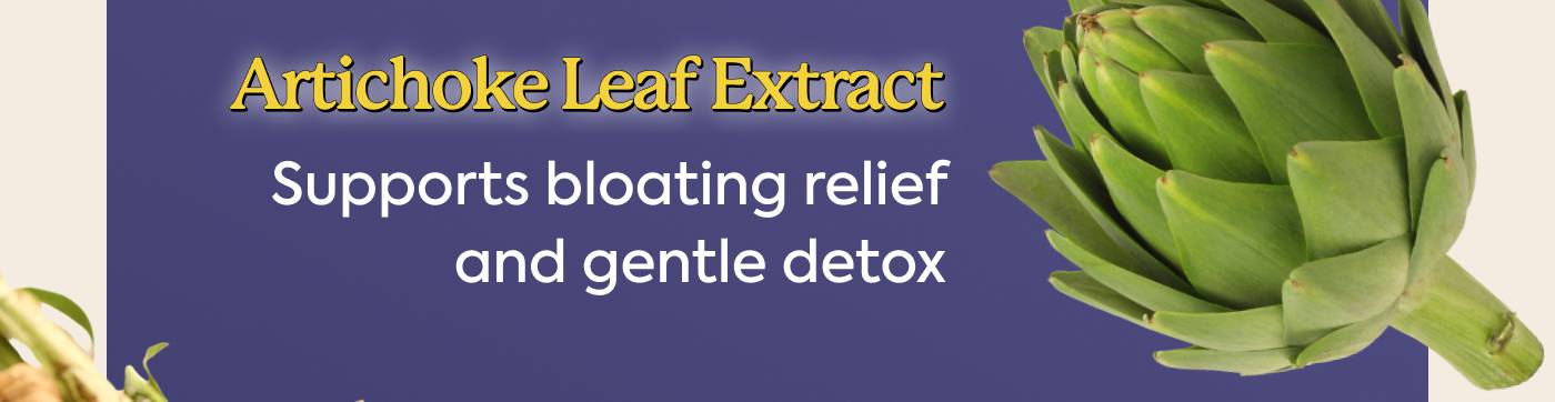 Avtichoke leaf Extract Supports bloating relief and gentle detox