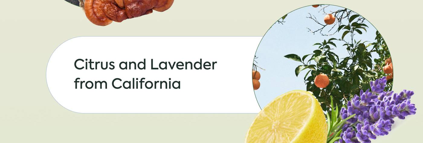 Citrus and Lavender from California