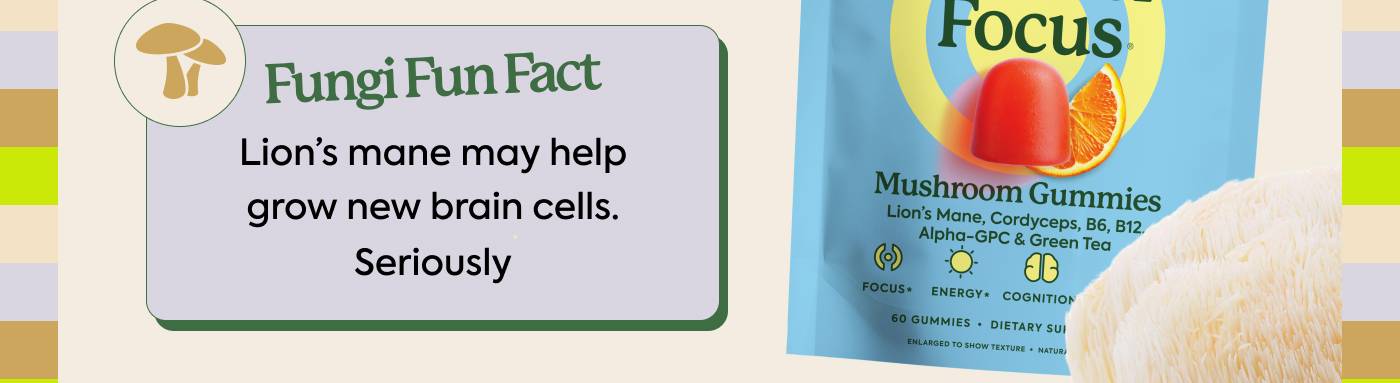 Fungi Fun Fact: Lion's mane may help grow new brain cells. Seriously Fungi Fun Fact: Lion's mane may help grow new brain cells. Seriously