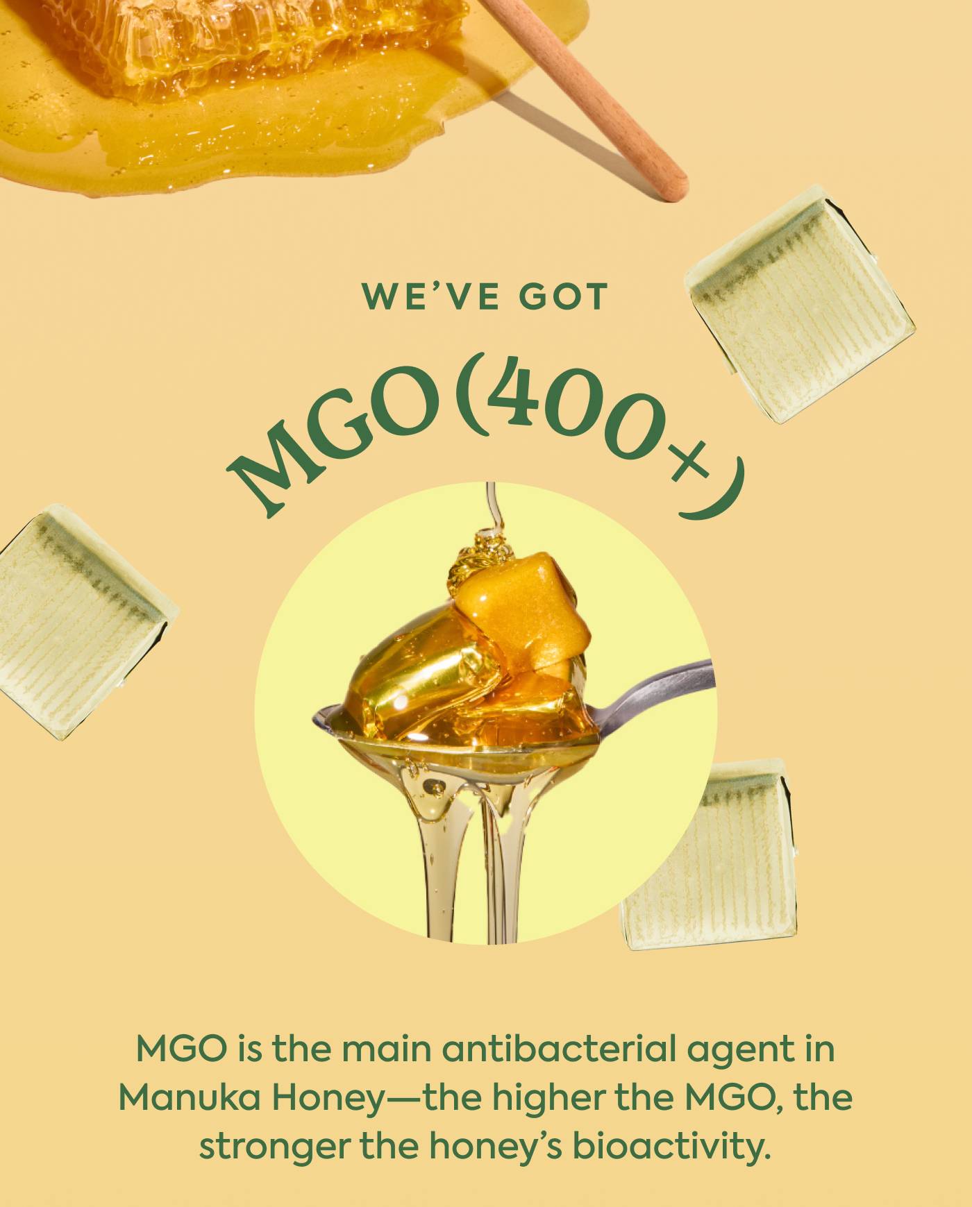 We’ve Got MGO (400+). MGO is the main antibacterial agent in Manuka Honey—the higher the MGO, the stronger the honey’s bioactivity. We’ve Got MGO (400+). MGO is the main antibacterial agent in Manuka Honey—the higher the MGO, the stronger the honey’s bioactivity.