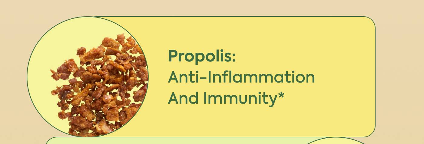 Propolis: Anti-inflammation and immunity *