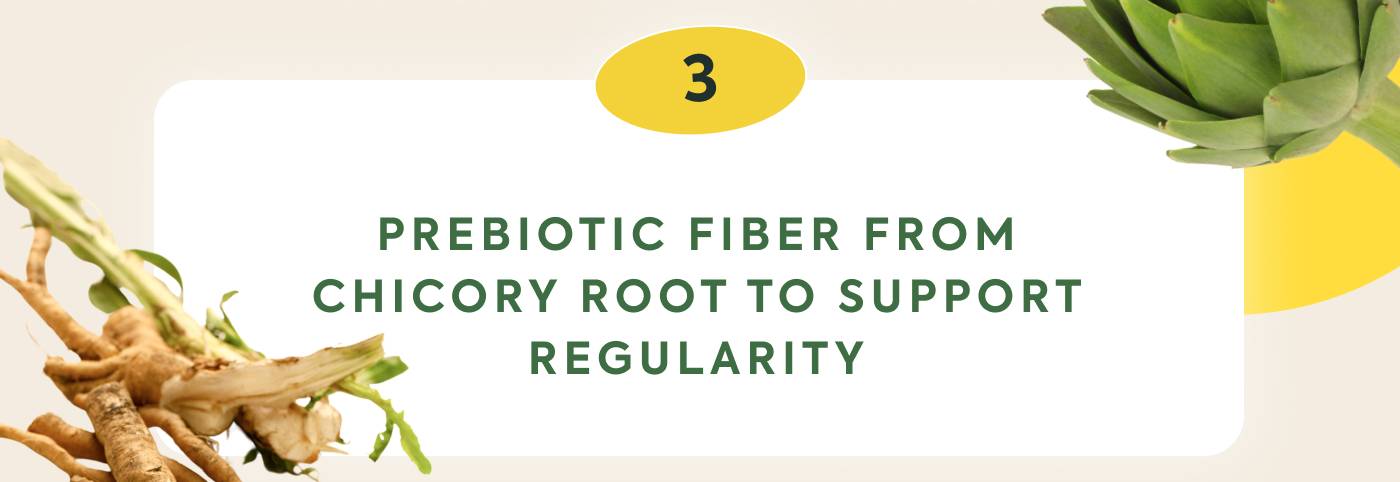 Prebiotic fiber from Chicory Root to support regularity