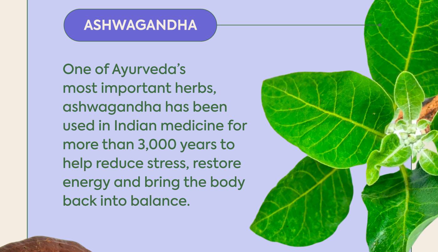 Ashwagandha One of Ayurveda’s most important herbs, ashwagandha has been used in Indian medicine for more than 3,000 years to help reduce stress, restore energy and bring the body back into balance.