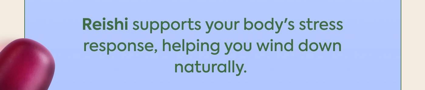 Reishi supports your body's stress response, helping you wind down naturally. 