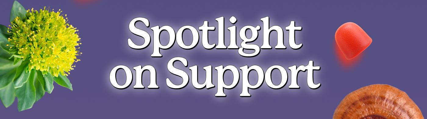Spotlight on Support Spotlight on Support