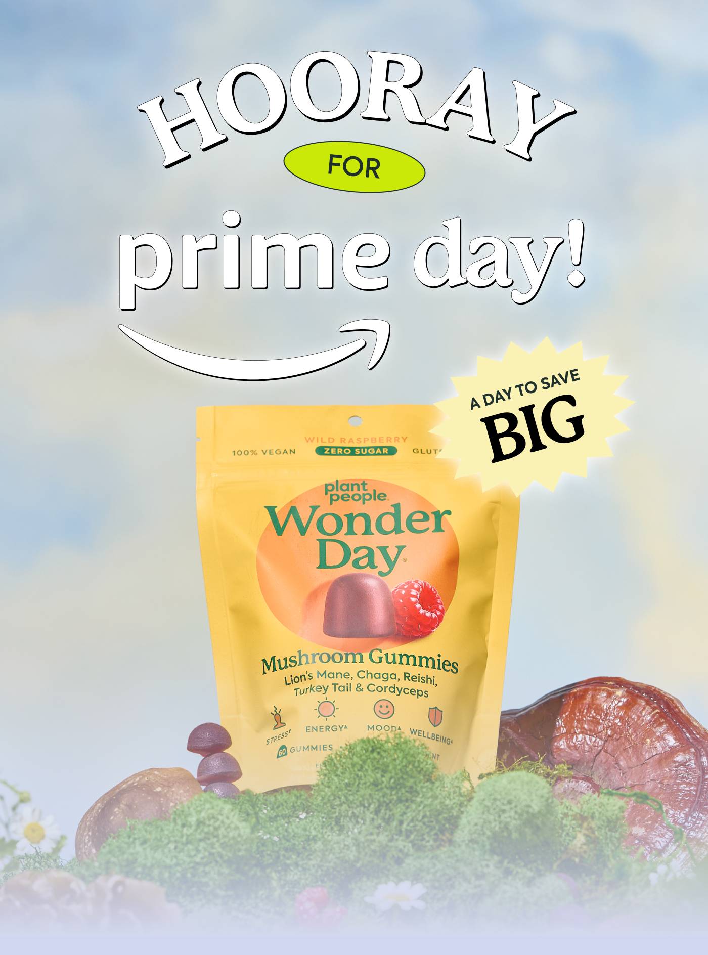 Hooray for Prime Day! 
