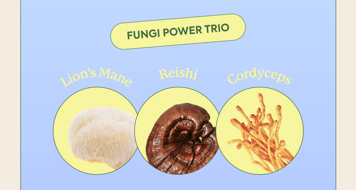 Fungi Power Trio Reishi, Lion’s Mane, Cordyceps