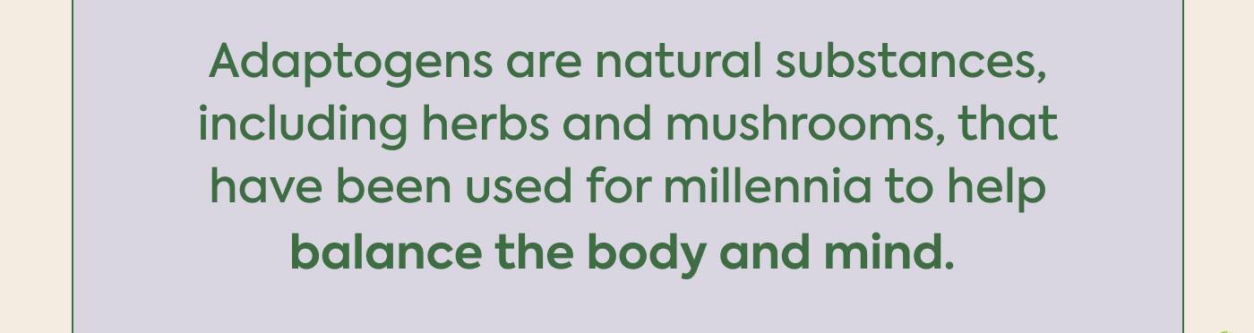 Adaptogens are natural substances, including herbs and mushrooms, that have been used for millennia to help balance the body and mind.