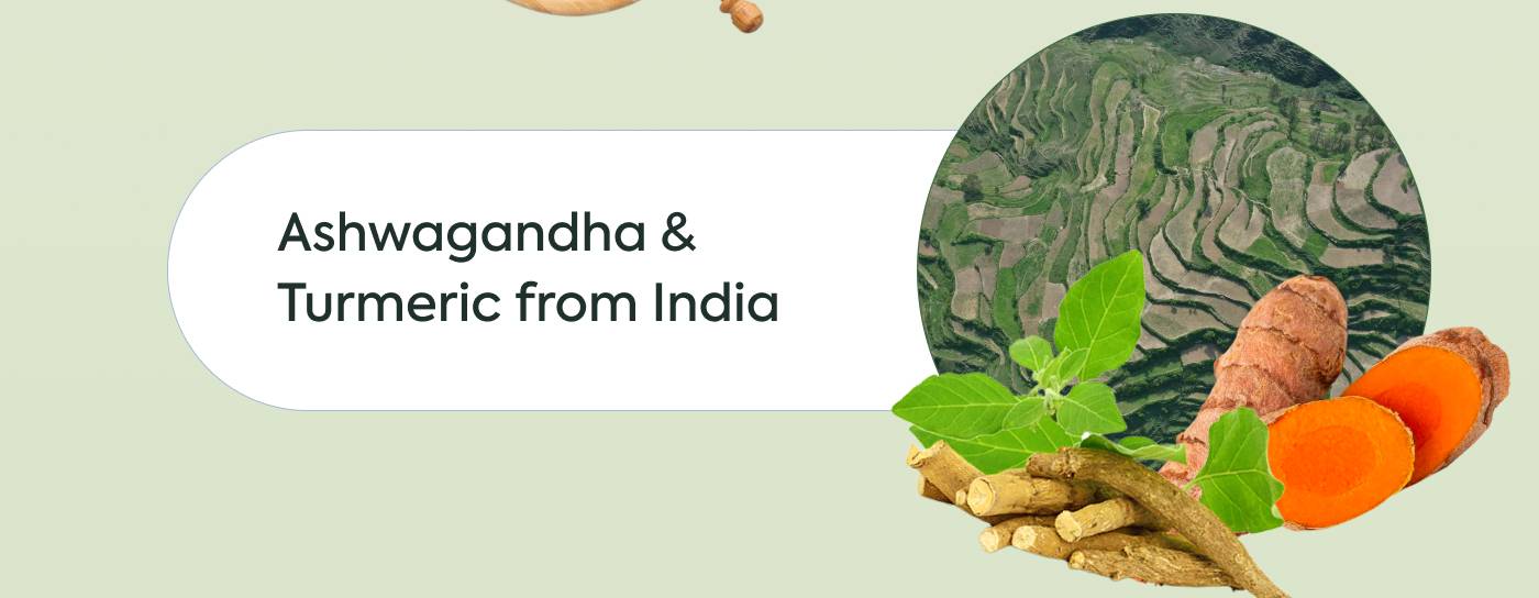 Ashwagandha & turmeric from India