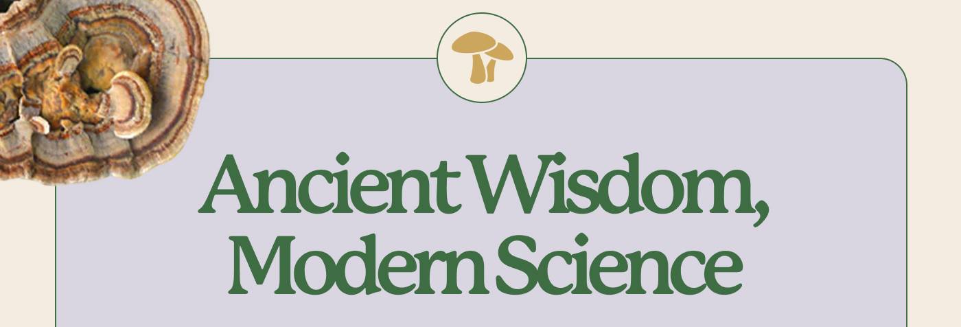 Ancient Wisdom, Modern Science
