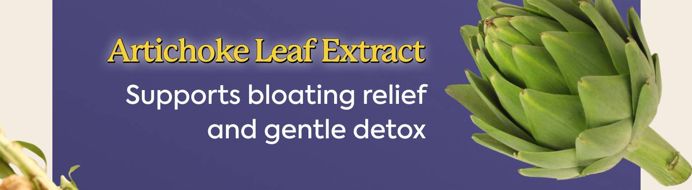 Artichoke Leaf Extract: Supports bloating relief and gentle detox