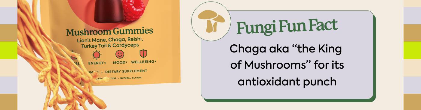 Fungi Fun Fact: Chaga aka "the king of Mushrooms" for its antioxidant punch Fungi Fun Fact: Chaga aka "the king of Mushrooms" for its antioxidant punch