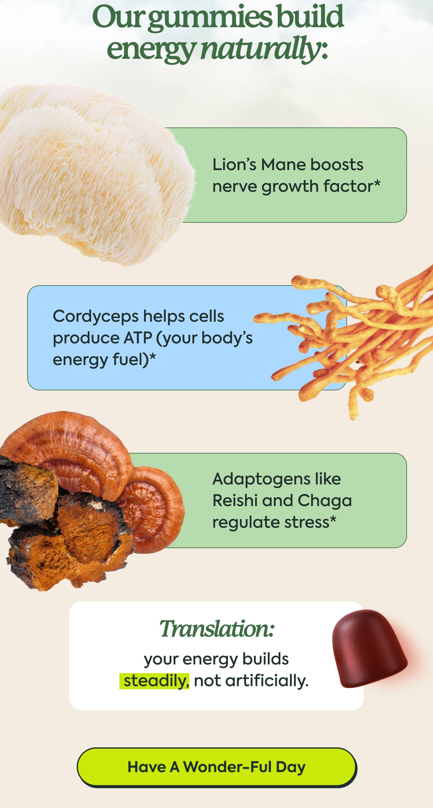 Have A Wonder-Ful Day Have A Wonder-Ful Day