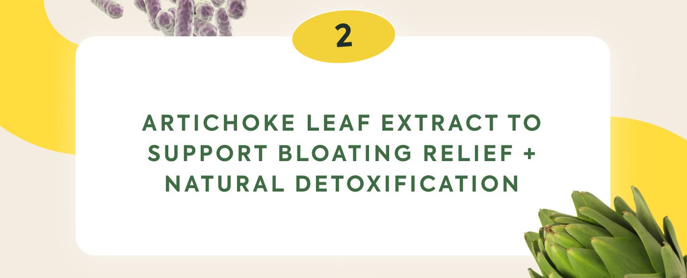 Artichoke Leaf Extract to support bloating relief + natural detoxification