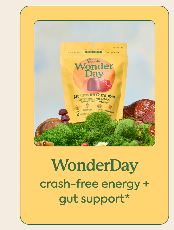 WonderDay: crash-free energy + gut support*