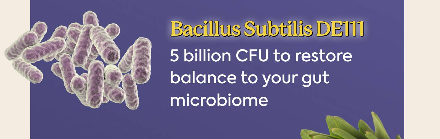 Bagillus Subtilis DE111 5 billion CFU to restore balance to your gut microbiome