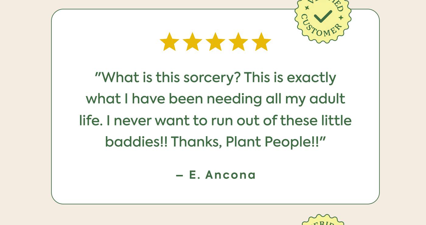 “What is this sorcery? This is exactly what | have been needing all my adult  life. I never want to run out of these little baddies!! Thanks, Plant People!”  “What is this sorcery? This is exactly what | have been needing all my adult  life. I never want to run out of these little baddies!! Thanks, Plant People!”