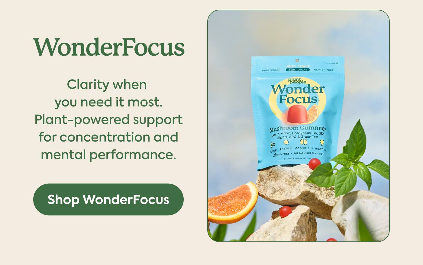 WonderFocus Clarity when you need it most. Plant-powered support for concentration and mental performance. | Shop WonderFocus