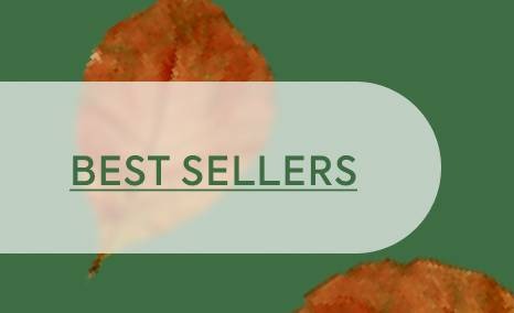 Best Sellers