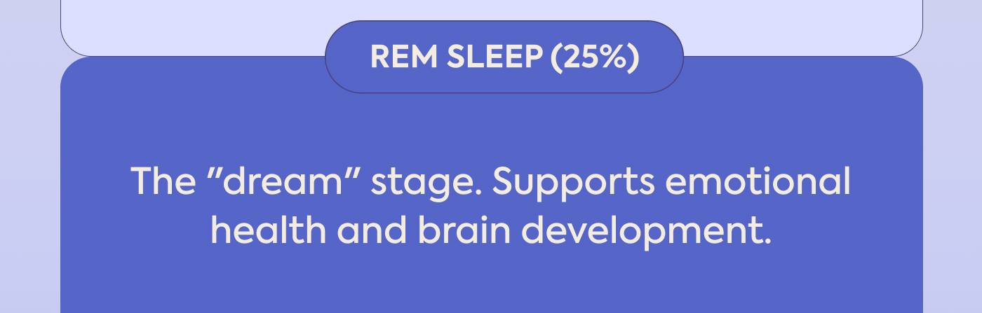 REM Sleep (25%): The "dream" stage. Supports emotional health and brain development.