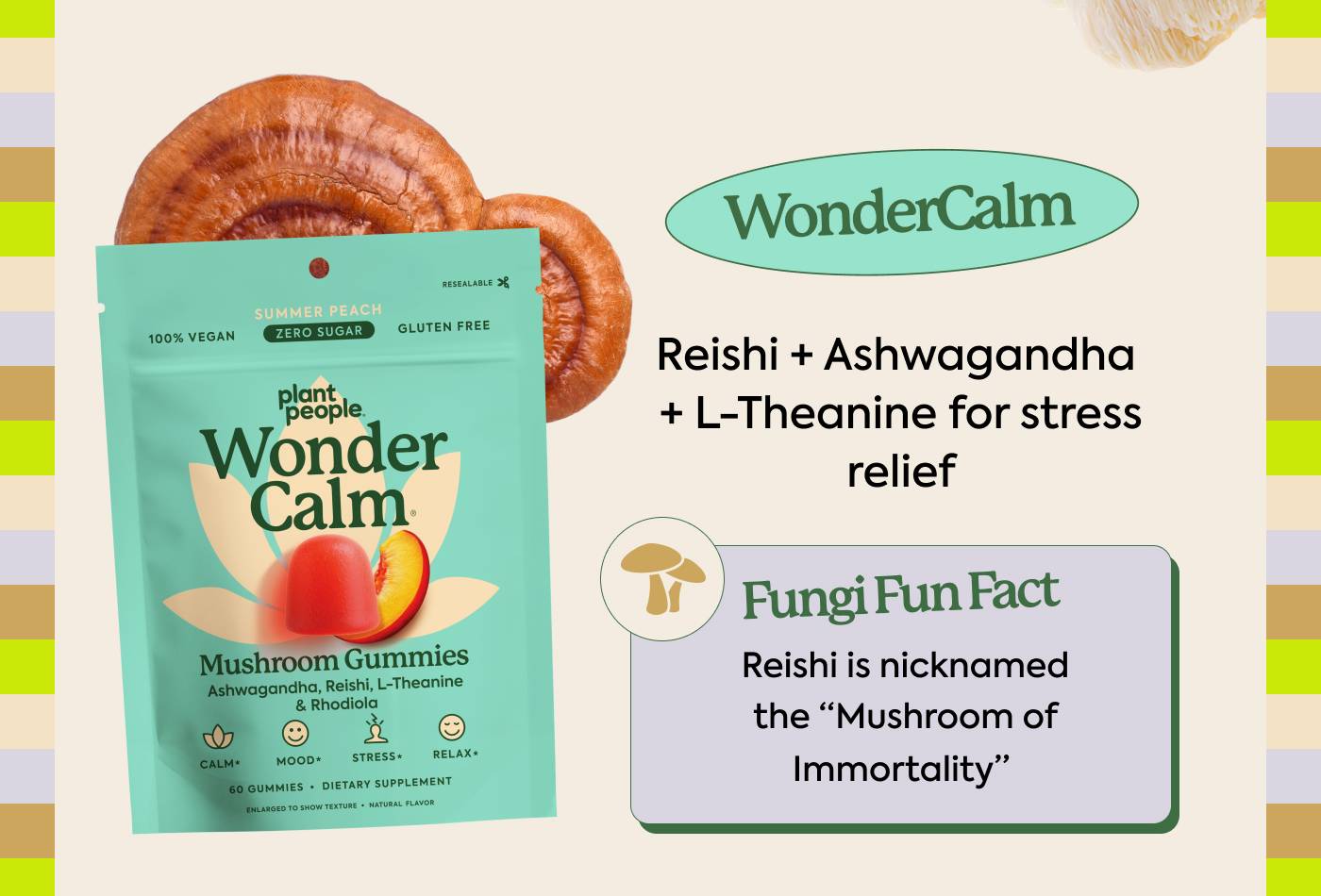 WonderCalm: Reishi + Ashwagandha + L-Theanine for stress relief Fun Fungi Fact: Reishi is nicknamed the “Mushroom of Immortality WonderCalm: Reishi + Ashwagandha + L-Theanine for stress relief Fun Fungi Fact: Reishi is nicknamed the “Mushroom of Immortality