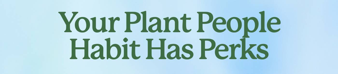 Your Plant People Habit Has Perks