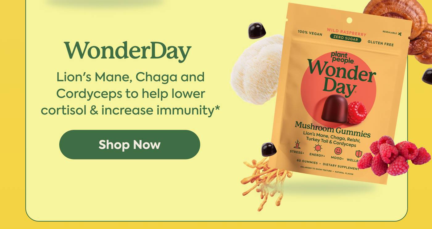 WonderDay: Lion's Mane, Chaga and Cordyceps to help lower cortisol & increase immunity* WonderDay: Lion's Mane, Chaga and Cordyceps to help lower cortisol & increase immunity*